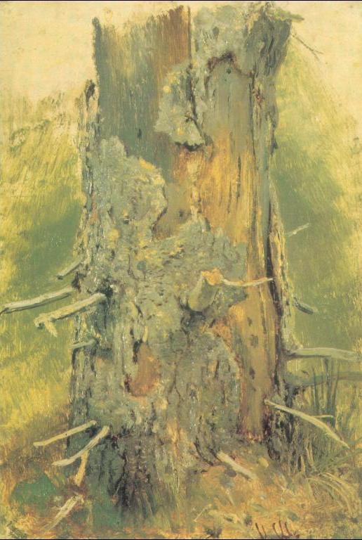 Ivan Shishkin Bark on Dried Up Tree